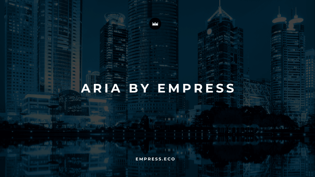 Aria by Empress: Navigating the Digital Landscape with Expert Technology Consulting post image