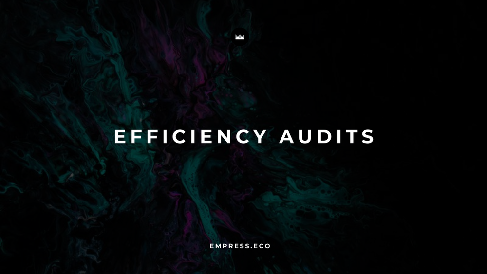 Efficiency Audits: Uncovering and Addressing Operational Inefficiencies to Boost Productivity post image