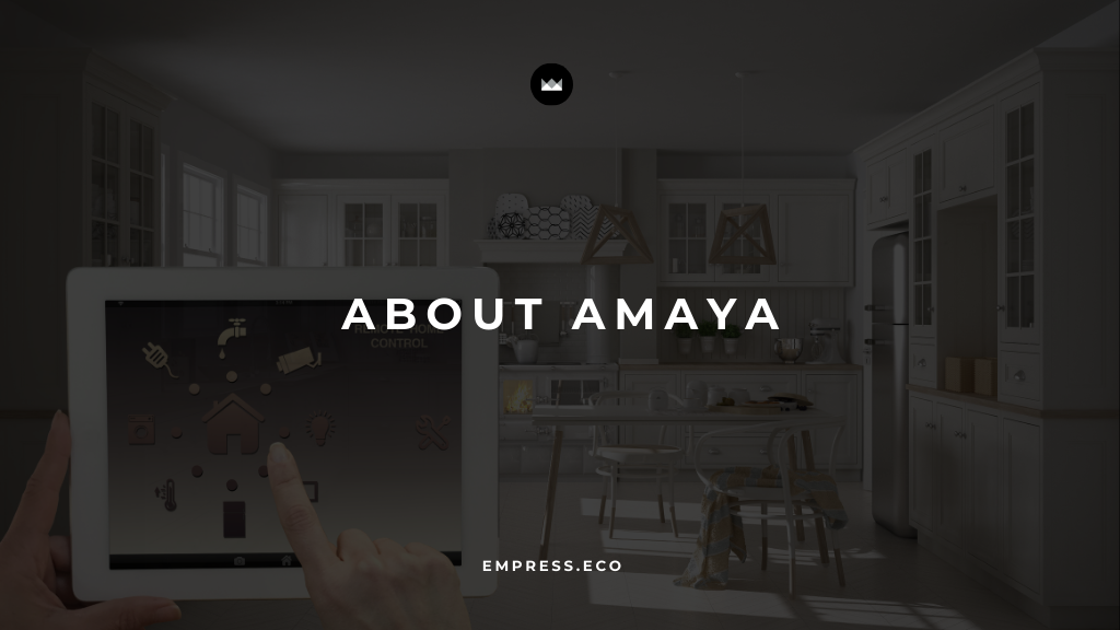 About AMAYA post image