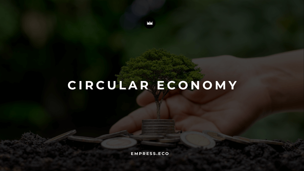 Circular Economy post image